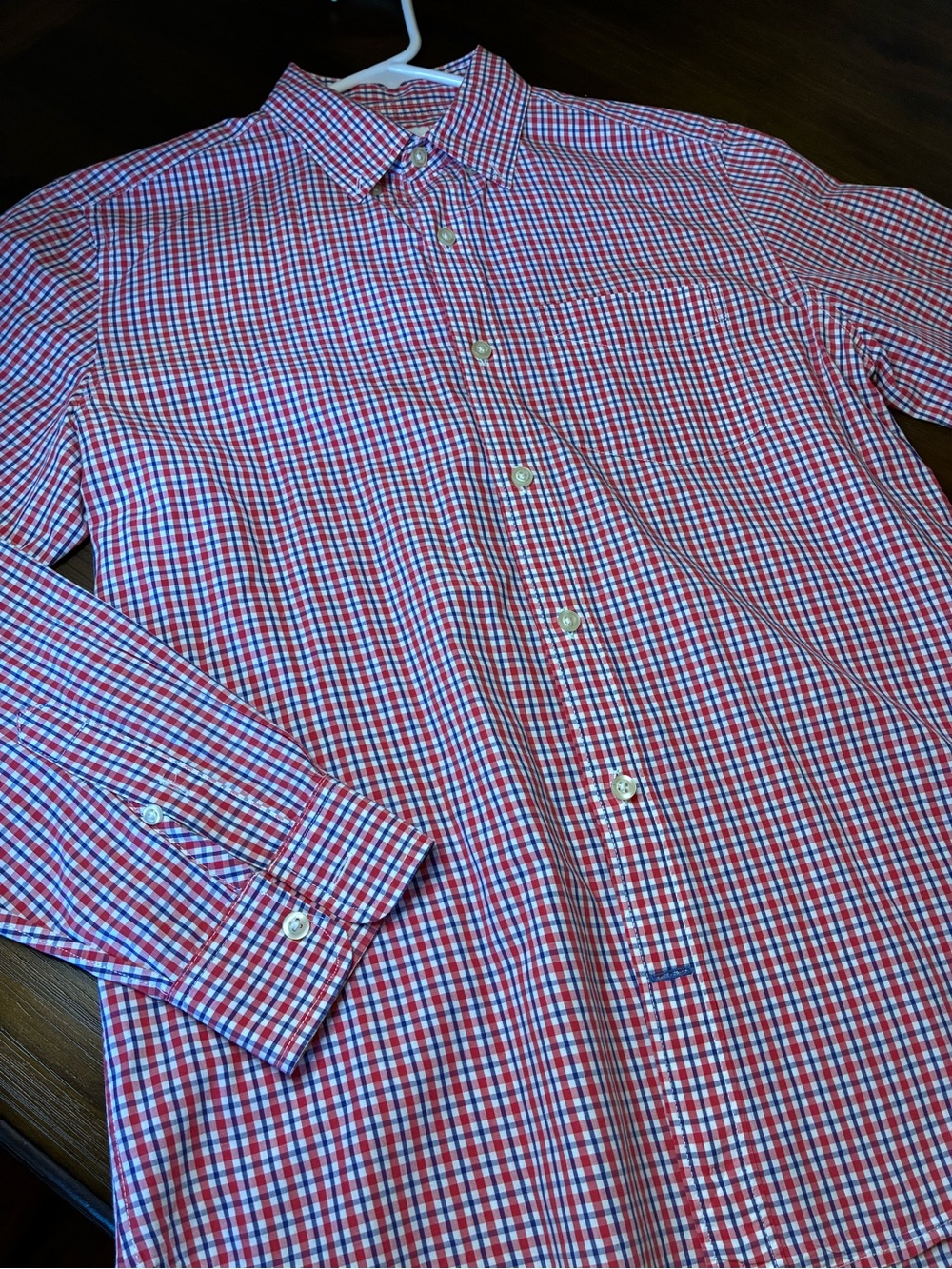 GAP Red and Blue Checked Button-Down Shirt